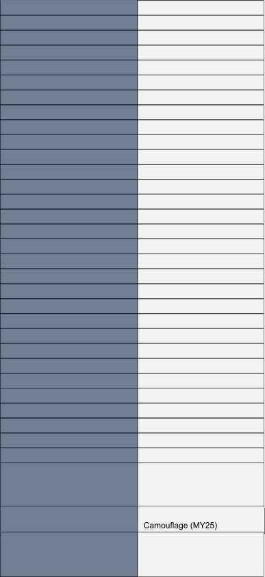 Camouflage (MY25)